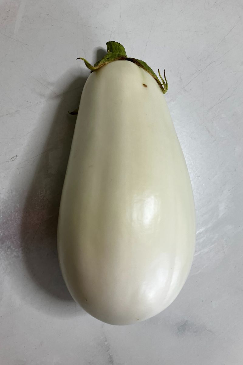 畑で収穫した白ナス