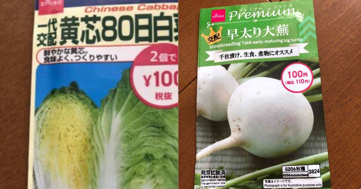 ＤＡＩＳＯの種