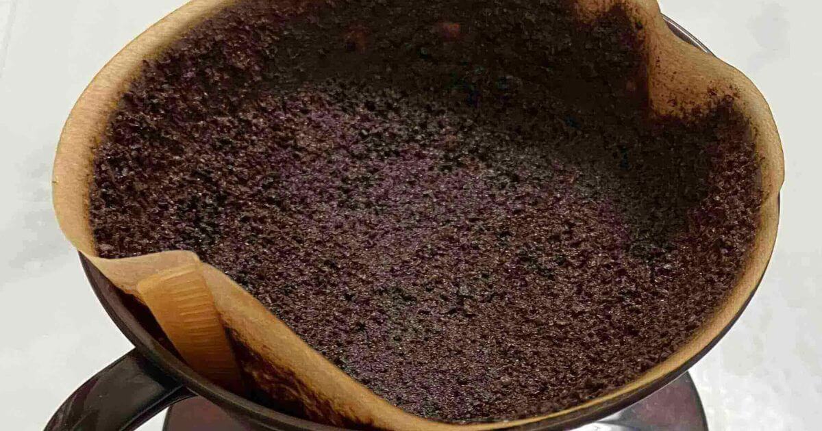コーヒーのかす