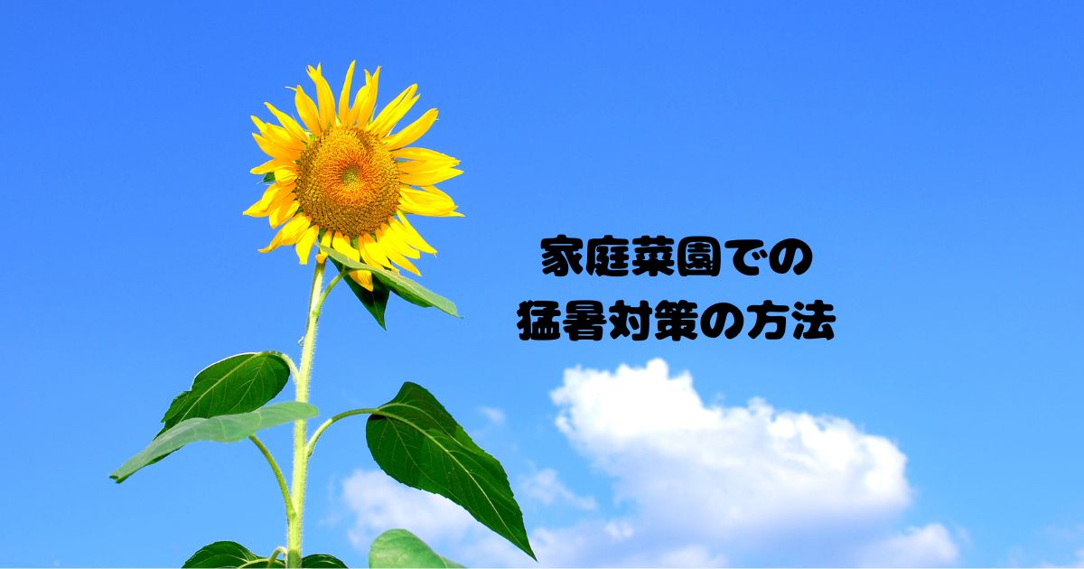 家庭菜園での猛暑対策