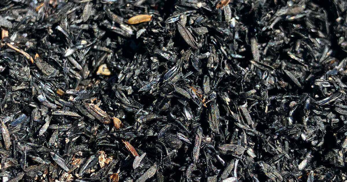 購入したもみ殻くん炭