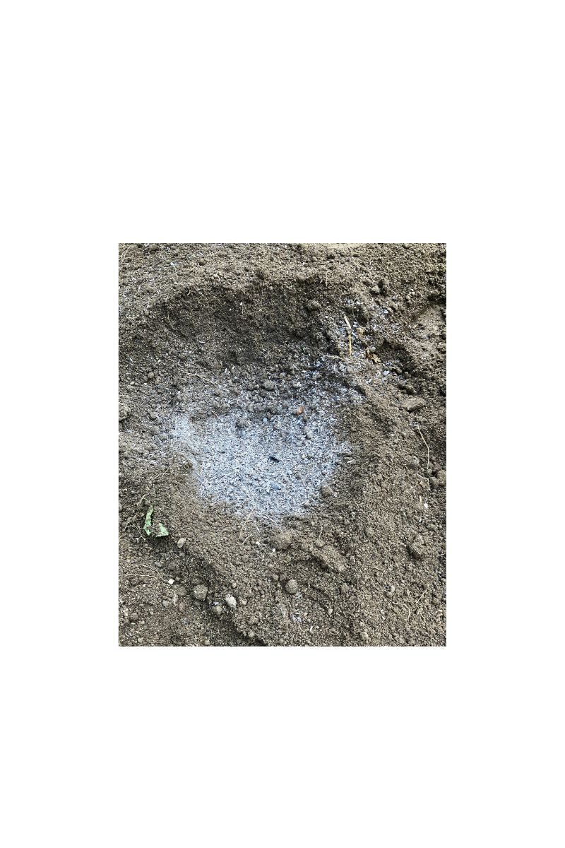 もみ殻くん炭で土づくり