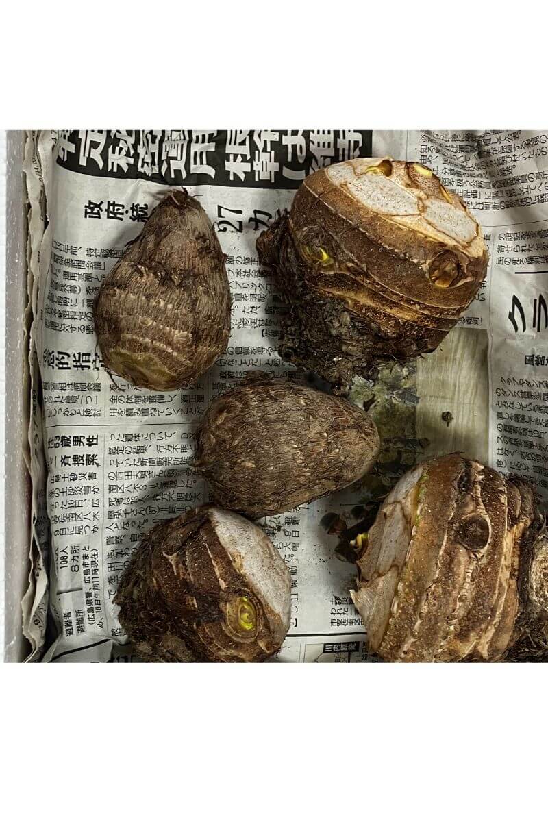 さといもの保存