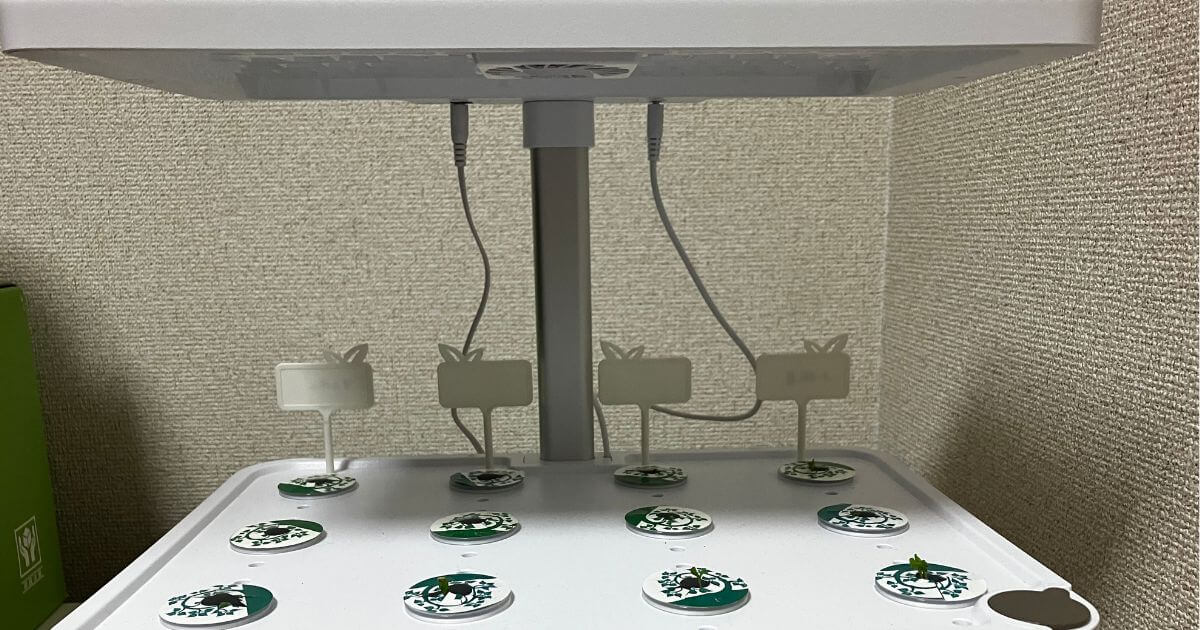 iDooの水耕栽培キット