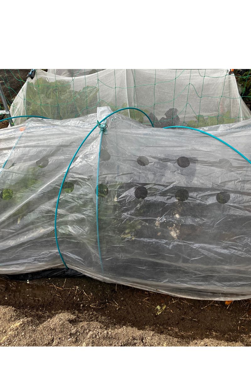 穴あきビニールで防寒対策