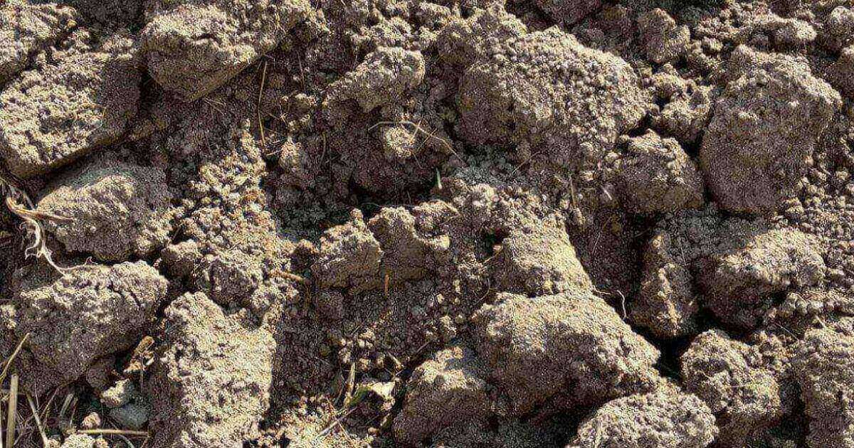 土壌改良のために冬に行う寒おこし