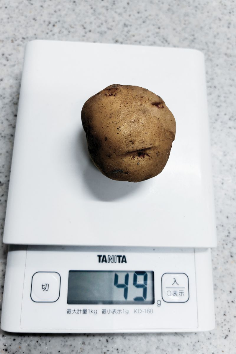 じゃがいもの種芋のサイズ