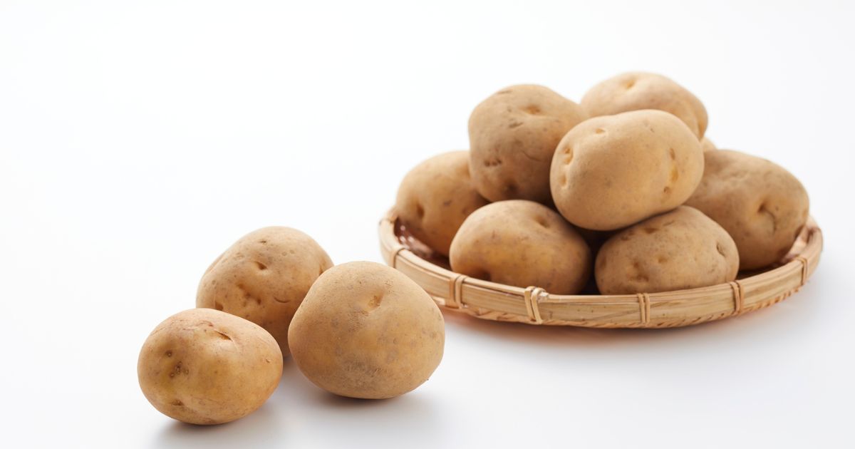 春じゃがいもの栽培