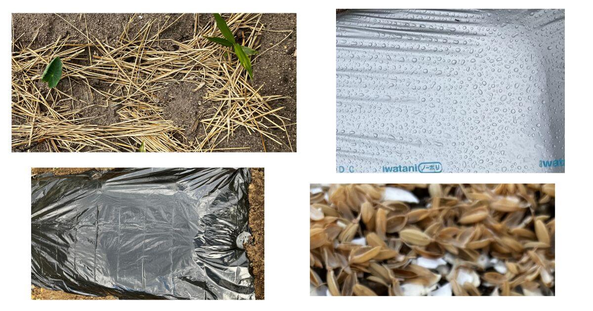 家庭菜園で大活躍のさまざまなマルチング材